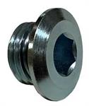 AN6  STEEL OIL PLUG WITH O-RING