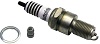 AUTOLITE SPARK PLUGS (AUT)