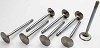 BIG BLOCK CHEVY EXHAUST VALVES