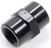 Fitting, Adapter, Straight, 1/8 in NPT Female to 1/8