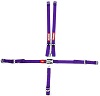 JR L & L 5PT HARNESS PURPLE D
