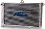 MINI CAGE 21^ NPT ALUM. SATIN RADIATOR