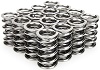 POLISHED VALVE SPRING SET OF 16