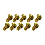 THROTTLE PLATE SCREWS BRASS 10 PK