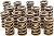 VALVESPRING SET 1.560^