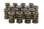VALVESPRING SET