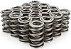 Valve Spring, 1300 Series, Dual Spring, 644 lb/in Spring Rate