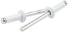 Small  Head Rivet White Alum 250pk