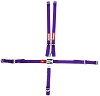 JR L & L 5PT HARNESS PURPLE D