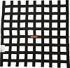 24 X 24 SFI RIBBON NET  BLACK    (dated)