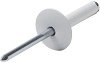 Large Head Rivet White 250pk