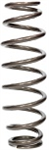 100# Coil Spring, XT Barrel, 2-1/2^ to 3^ ID, 14^