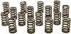 RPM SERIES VALVE SPRING SET 602 Crate Engine