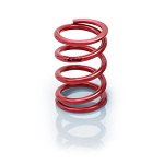 4^ x 300# COIL OVER SPRING