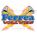 ferrea valves